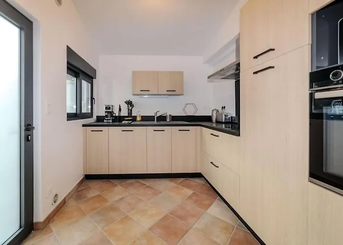 Et Volcans - Maison 9 Couchages Avec Garage Et Exterieur